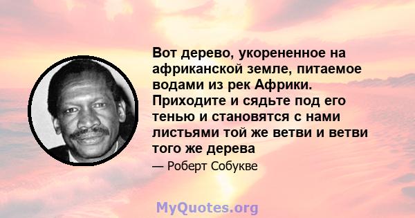 Вот дерево, укорененное на африканской земле, питаемое водами из рек Африки. Приходите и сядьте под его тенью и становятся с нами листьями той же ветви и ветви того же дерева