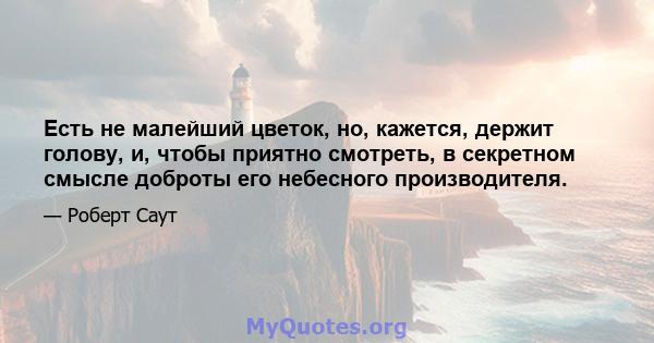 Есть не малейший цветок, но, кажется, держит голову, и, чтобы приятно смотреть, в секретном смысле доброты его небесного производителя.