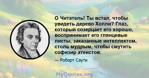 O Читатель! Ты встал, чтобы увидеть дерево Холли? Глаз, который созерцает его хорошо, воспринимает его глянцевые листы, заказанные интеллектом, столь мудрым, чтобы смутить софизир атеистов.