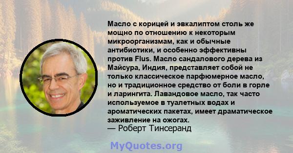 Масло с корицей и эвкалиптом столь же мощно по отношению к некоторым микроорганизмам, как и обычные антибиотики, и особенно эффективны против Flus. Масло сандалового дерева из Майсура, Индия, представляет собой не