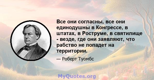 Все они согласны, все они единодушны в Конгрессе, в штатах, в Роструме, в святилище - везде, где они заявляют, что рабство не попадет на территории.