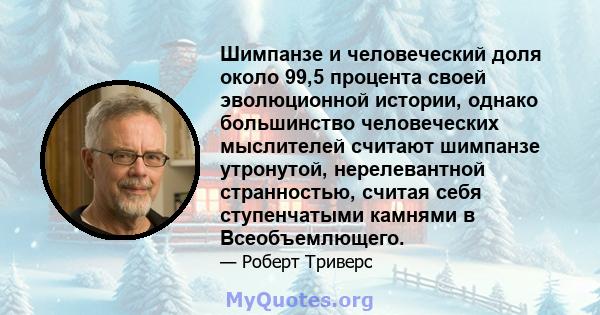 Шимпанзе и человеческий доля около 99,5 процента своей эволюционной истории, однако большинство человеческих мыслителей считают шимпанзе утронутой, нерелевантной странностью, считая себя ступенчатыми камнями в