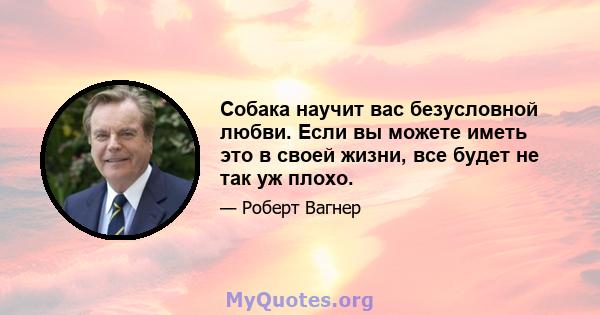 Собака научит вас безусловной любви. Если вы можете иметь это в своей жизни, все будет не так уж плохо.