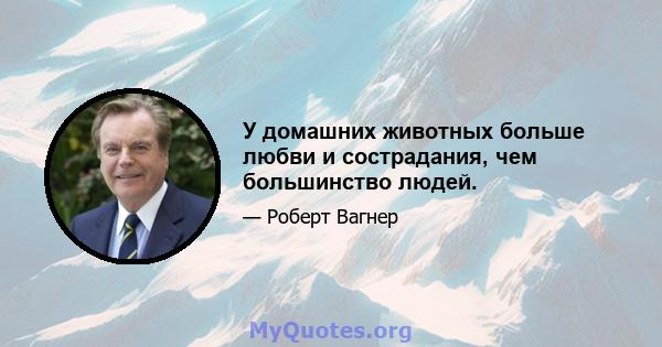 У домашних животных больше любви и сострадания, чем большинство людей.