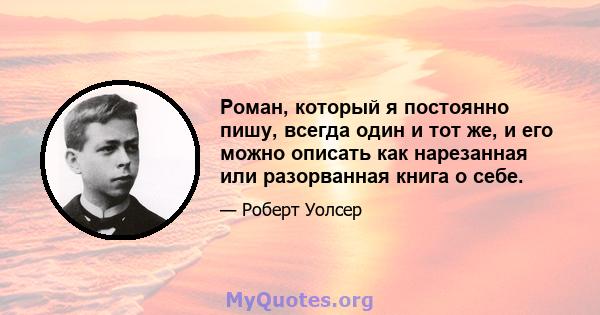 Роман, который я постоянно пишу, всегда один и тот же, и его можно описать как нарезанная или разорванная книга о себе.