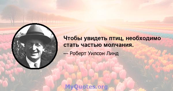 Чтобы увидеть птиц, необходимо стать частью молчания.