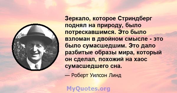 Зеркало, которое Стриндберг поднял на природу, было потрескавшимся. Это было взломан в двойном смысле - это было сумасшедшим. Это дало разбитые образы мира, который он сделал, похожий на хаос сумасшедшего сна.