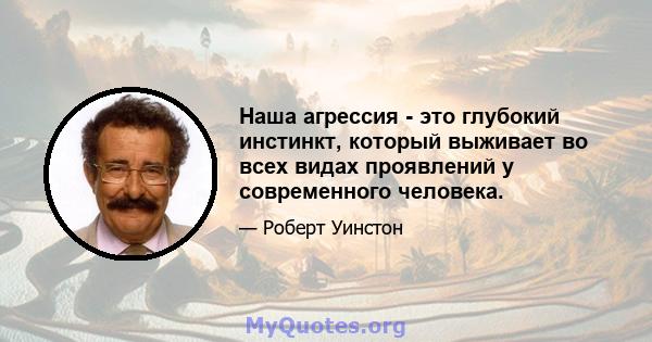 Наша агрессия - это глубокий инстинкт, который выживает во всех видах проявлений у современного человека.