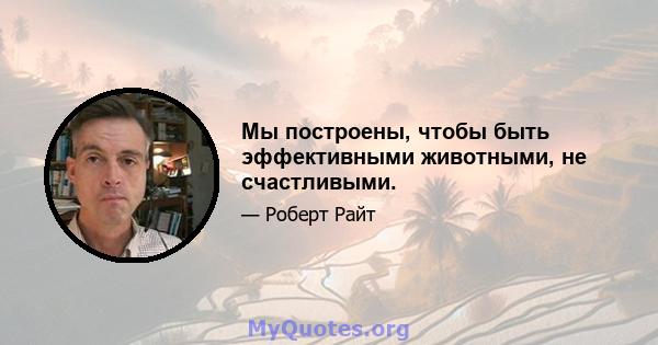 Мы построены, чтобы быть эффективными животными, не счастливыми.