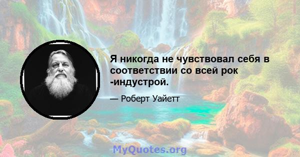 Я никогда не чувствовал себя в соответствии со всей рок -индустрой.