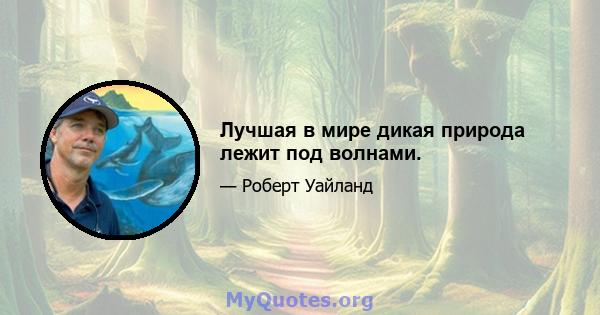 Лучшая в мире дикая природа лежит под волнами.