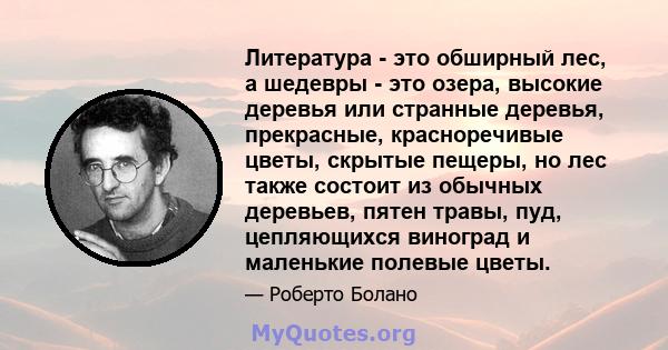 Литература - это обширный лес, а шедевры - это озера, высокие деревья или странные деревья, прекрасные, красноречивые цветы, скрытые пещеры, но лес также состоит из обычных деревьев, пятен травы, пуд, цепляющихся