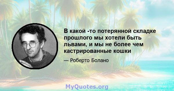 В какой -то потерянной складке прошлого мы хотели быть львами, и мы не более чем кастрированные кошки