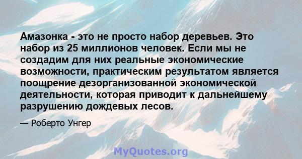 Амазонка - это не просто набор деревьев. Это набор из 25 миллионов человек. Если мы не создадим для них реальные экономические возможности, практическим результатом является поощрение дезорганизованной экономической