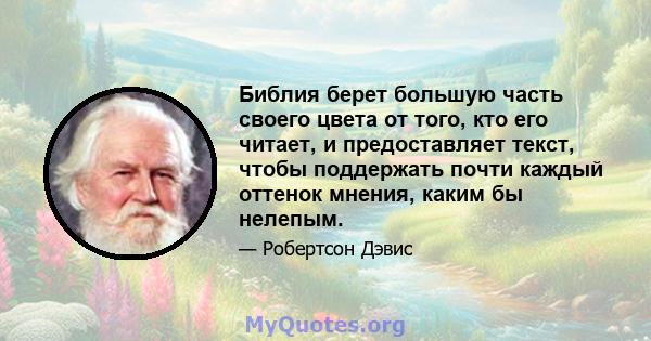 Библия берет большую часть своего цвета от того, кто его читает, и предоставляет текст, чтобы поддержать почти каждый оттенок мнения, каким бы нелепым.