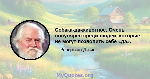 Собака-да-животное. Очень популярен среди людей, которые не могут позволить себе «да».