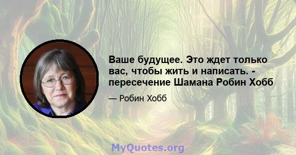 Ваше будущее. Это ждет только вас, чтобы жить и написать. - пересечение Шамана Робин Хобб