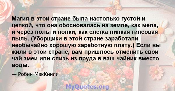 Магия в этой стране была настолько густой и цепкой, что она обосновалась на земле, как мела, и через полы и полки, как слегка липкая гипсовая пыль. (Уборщики в этой стране заработали необычайно хорошую заработную