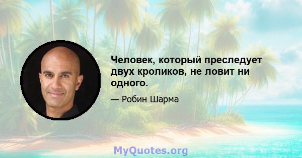 Человек, который преследует двух кроликов, не ловит ни одного.