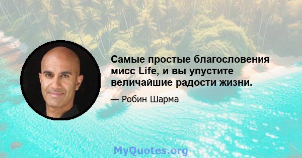 Самые простые благословения мисс Life, и вы упустите величайшие радости жизни.