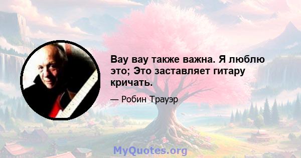 Вау вау также важна. Я люблю это; Это заставляет гитару кричать.