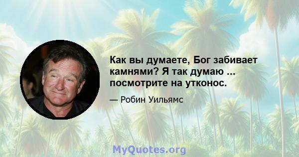 Как вы думаете, Бог забивает камнями? Я так думаю ... посмотрите на утконос.