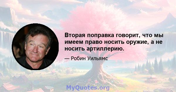 Вторая поправка говорит, что мы имеем право носить оружие, а не носить артиллерию.