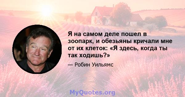 Я на самом деле пошел в зоопарк, и обезьяны кричали мне от их клеток: «Я здесь, когда ты так ходишь?»