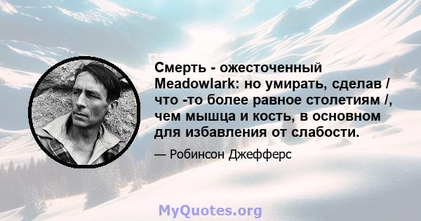 Смерть - ожесточенный Meadowlark: но умирать, сделав / что -то более равное столетиям /, чем мышца и кость, в основном для избавления от слабости.