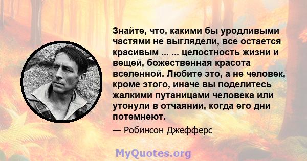 Знайте, что, какими бы уродливыми частями не выглядели, все остается красивым ... ... целостность жизни и вещей, божественная красота вселенной. Любите это, а не человек, кроме этого, иначе вы поделитесь жалкими