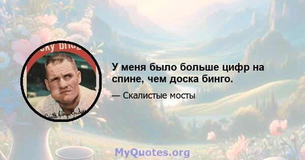 У меня было больше цифр на спине, чем доска бинго.