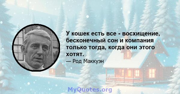 У кошек есть все - восхищение, бесконечный сон и компания только тогда, когда они этого хотят.