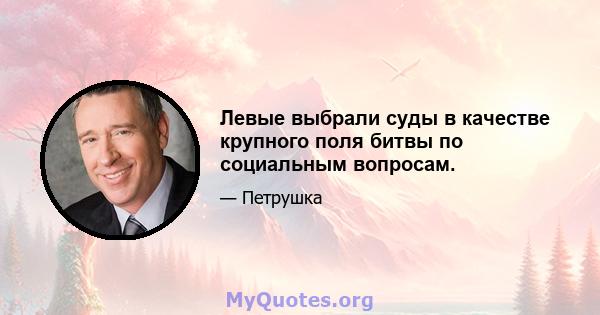 Левые выбрали суды в качестве крупного поля битвы по социальным вопросам.