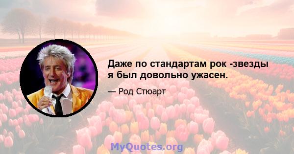 Даже по стандартам рок -звезды я был довольно ужасен.