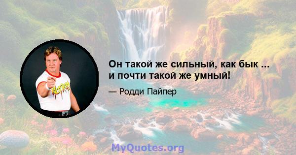 Он такой же сильный, как бык ... и почти такой же умный!