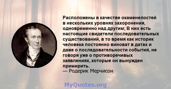 Расположены в качестве окаменелостей в нескольких уровнях захоронения, одновременно над другим; В них есть настоящие свидетели последовательных существований, в то время как историк человека постоянно виноват в датах и