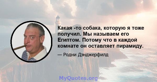 Какая -то собака, которую я тоже получил. Мы называем его Египтом. Потому что в каждой комнате он оставляет пирамиду.