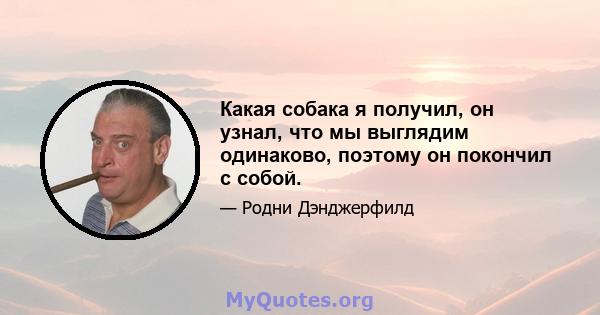 Какая собака я получил, он узнал, что мы выглядим одинаково, поэтому он покончил с собой.