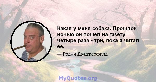 Какая у меня собака. Прошлой ночью он пошел на газету четыре раза - три, пока я читал ее.