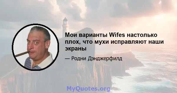 Мои варианты Wifes настолько плох, что мухи исправляют наши экраны