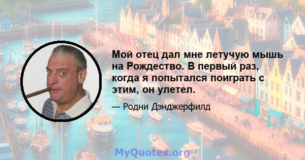 Мой отец дал мне летучую мышь на Рождество. В первый раз, когда я попытался поиграть с этим, он улетел.