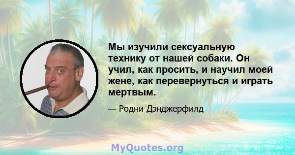 Мы изучили сексуальную технику от нашей собаки. Он учил, как просить, и научил моей жене, как перевернуться и играть мертвым.