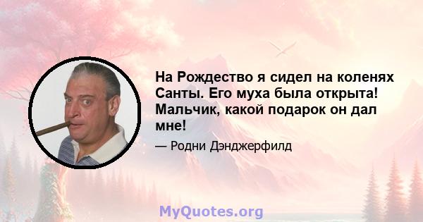 На Рождество я сидел на коленях Санты. Его муха была открыта! Мальчик, какой подарок он дал мне!