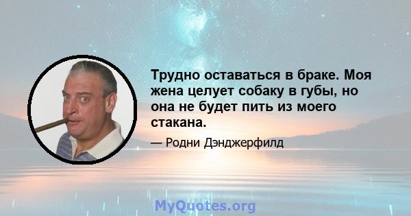 Трудно оставаться в браке. Моя жена целует собаку в губы, но она не будет пить из моего стакана.