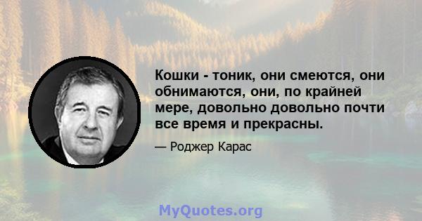 Кошки - тоник, они смеются, они обнимаются, они, по крайней мере, довольно довольно почти все время и прекрасны.