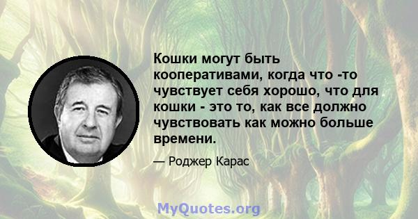 Кошки могут быть кооперативами, когда что -то чувствует себя хорошо, что для кошки - это то, как все должно чувствовать как можно больше времени.