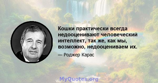 Кошки практически всегда недооценивают человеческий интеллект, так же, как мы, возможно, недооцениваем их.