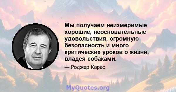 Мы получаем неизмеримые хорошие, неосновательные удовольствия, огромную безопасность и много критических уроков о жизни, владея собаками.