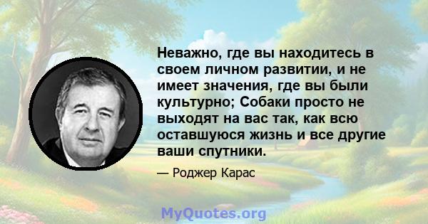 Неважно, где вы находитесь в своем личном развитии, и не имеет значения, где вы были культурно; Собаки просто не выходят на вас так, как всю оставшуюся жизнь и все другие ваши спутники.