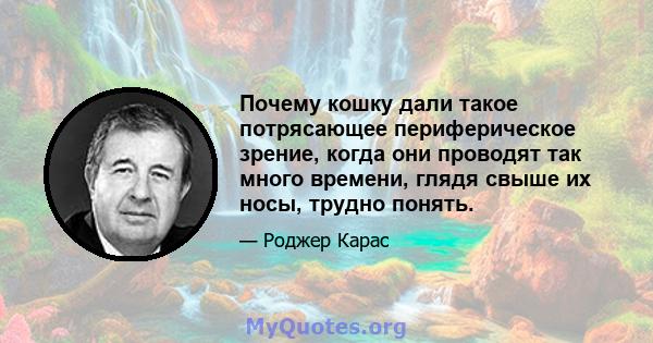 Почему кошку дали такое потрясающее периферическое зрение, когда они проводят так много времени, глядя свыше их носы, трудно понять.